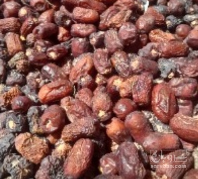 فروش خرما ضایعاتی