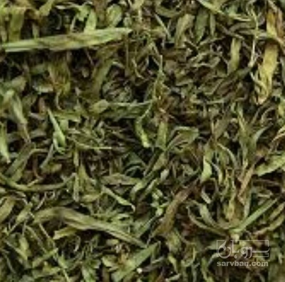 فروش ترخون (گیاه‌ دارویی)