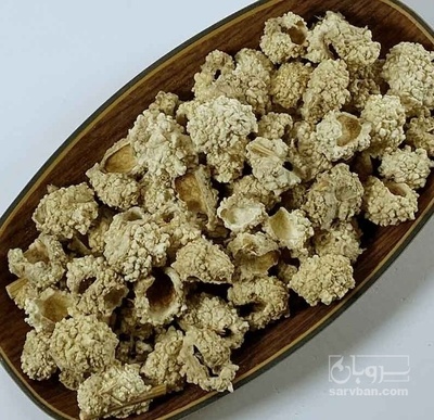 فروش شکر تیغال ( خار شکر) (گیاه‌ دارویی)