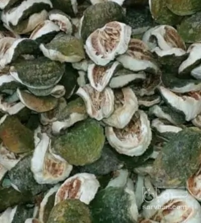 فروش بالنگ خشک (گیاه‌ دارویی)