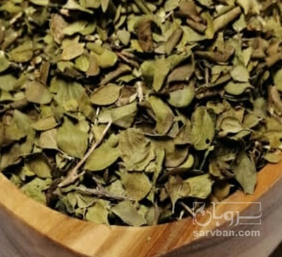 فروش آویشن خشک (گیاه‌ دارویی)