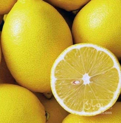 فروش لیمو شیرین