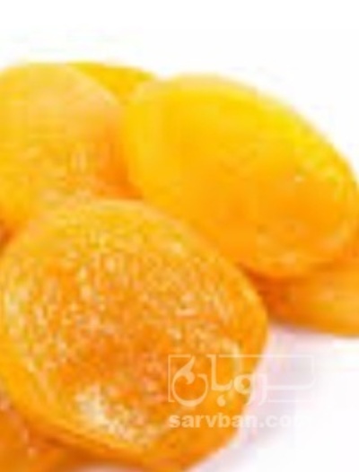 فروش برگه قیسی