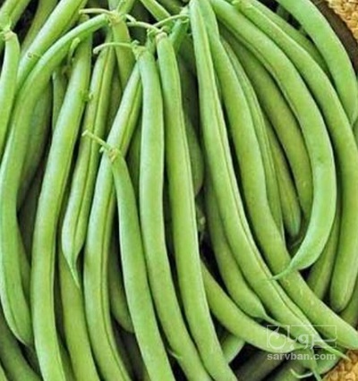 فروش لوبیا سبز