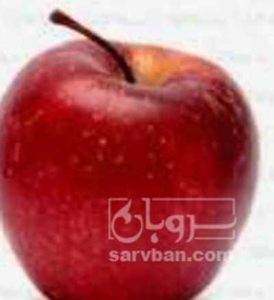 فروش سیب