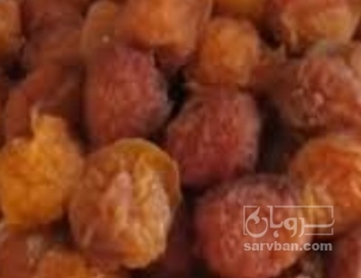 فروش آلو حاج حسنی