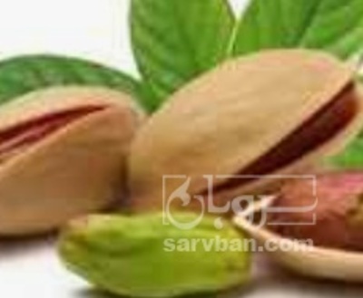 فروش پسته