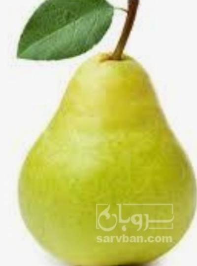 فروش گلابی