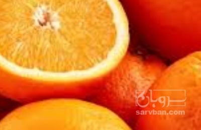 فروش پرتقال
