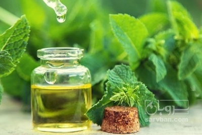 فروش   اسانس نعناع