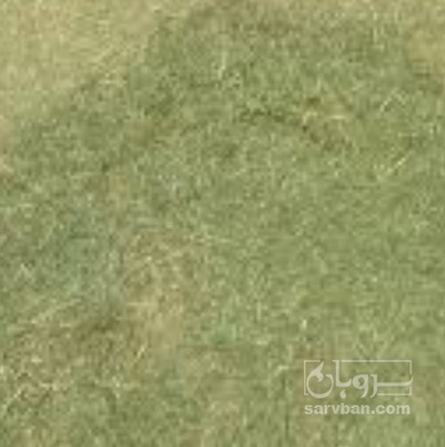 فروش کاه و کلش لوبیا