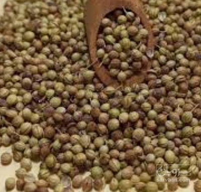 فروش تخم گشنیز (گیاه‌ دارویی)