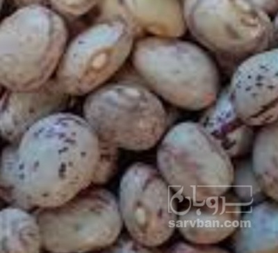 فروش لوبیا چیتی