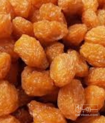 فروش آلو سیدی