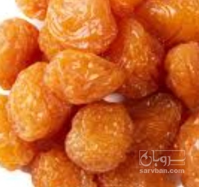 فروش آلو طرقبه