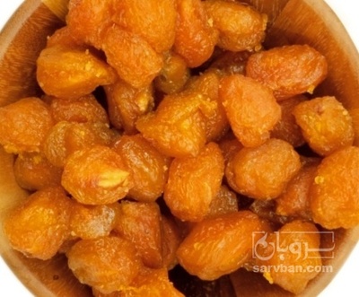 فروش آلو کبری