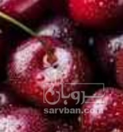 فروش گیلاس