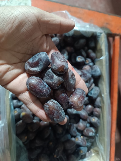 فروش خرما مضافتی