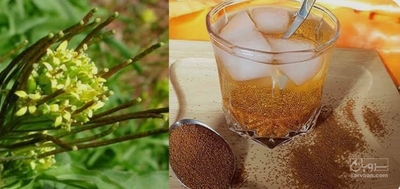 فروش خاکشیر (گیاه‌ دارویی)