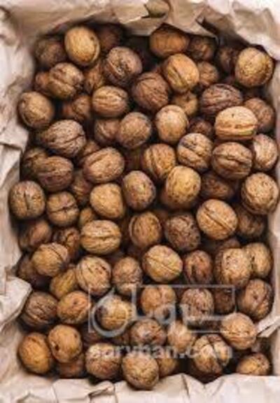 فروش گردو آجیلی