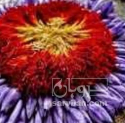 فروش زعفران (گیاه‌ دارویی)