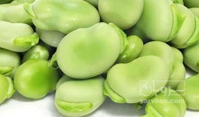 فروش باقلا تازه - باقالی - باقالا