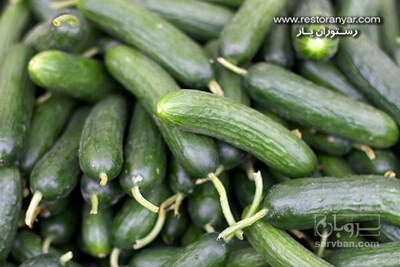 فروش خیار شور