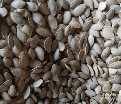 فروش تخمه  کدو بو داده