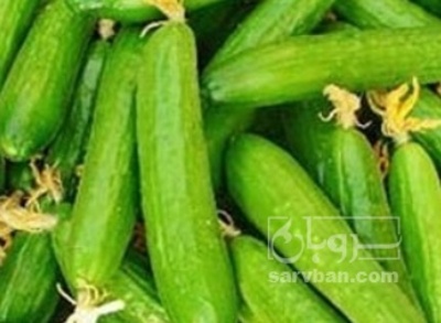 فروش خیار