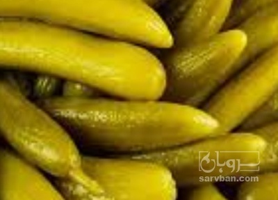 فروش خیار شور