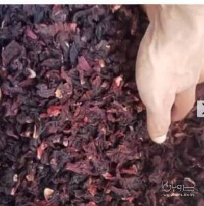 فروش چای ترش