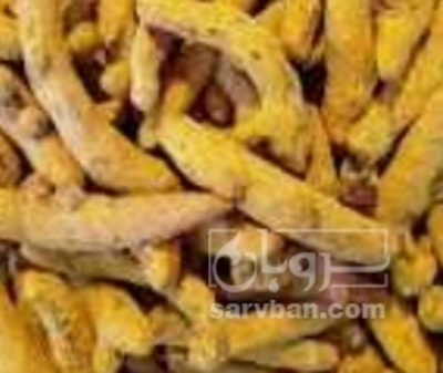 فروش  زردچوبه قلم