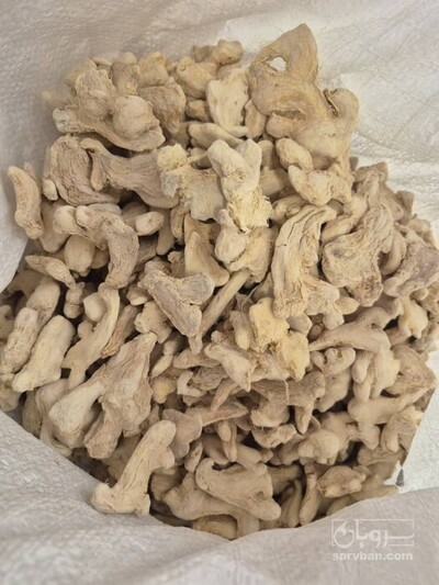 فروش زنجبیل (گیاه‌ دارویی)