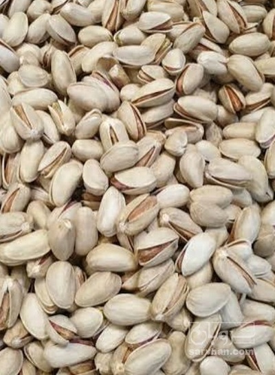 فروش پسته اکبری