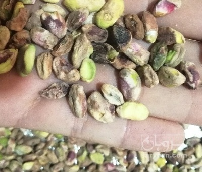 فروش مغز پسته لپه
