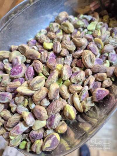فروش مغز پسته سالم