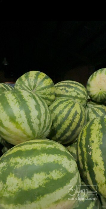 فروش هندوانه