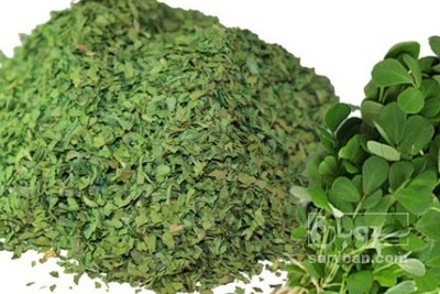 فروش شنبلیله (گیاه‌ دارویی)