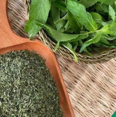 فروش نعناع خشک (گیاه‌ دارویی)