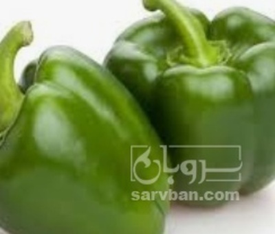 فروش فلفل دلمه ای