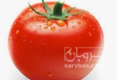 فروش گوجه فرنگی