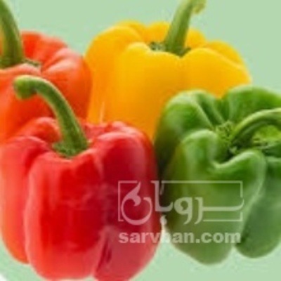 فروش فلفل دلمه ای