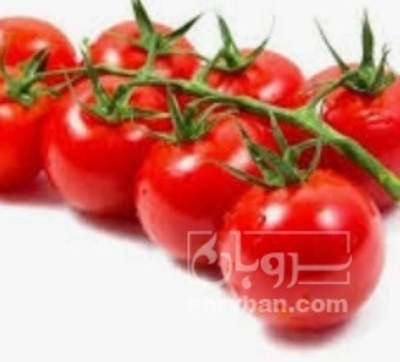 فروش گوجه فرنگی