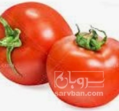 فروش گوجه فرنگی