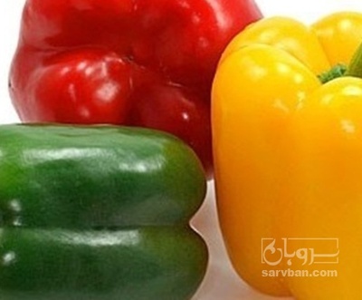 فروش فلفل دلمه ای