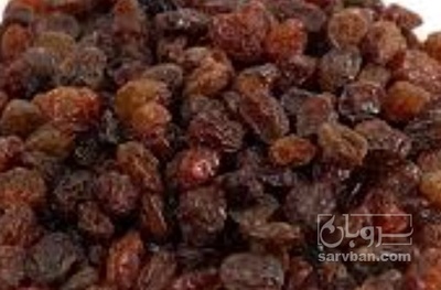 فروش کشمش افتابی