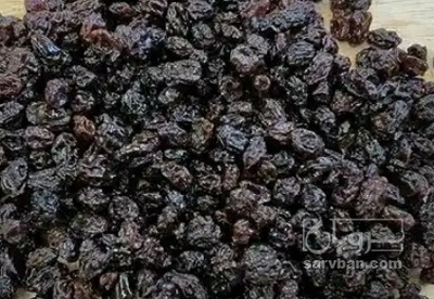 فروش مویز