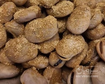 فروش باقلا خشک خوراکی