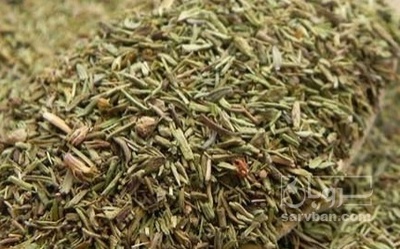 فروش آویشن خشک (گیاه‌ دارویی)