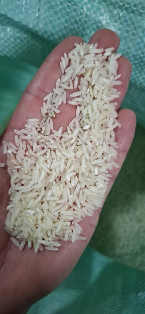فروش برنج هاشمی کشت اول